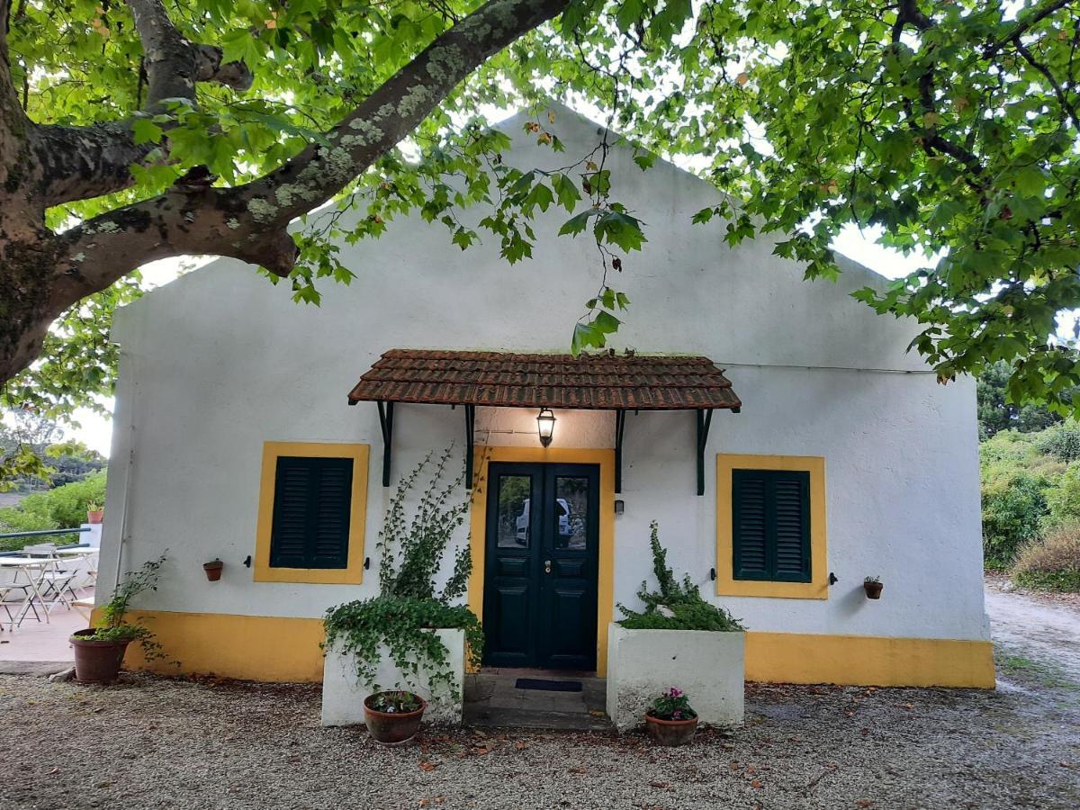 Montejunto Villas - Casa Do Platano Cadaval Εξωτερικό φωτογραφία
