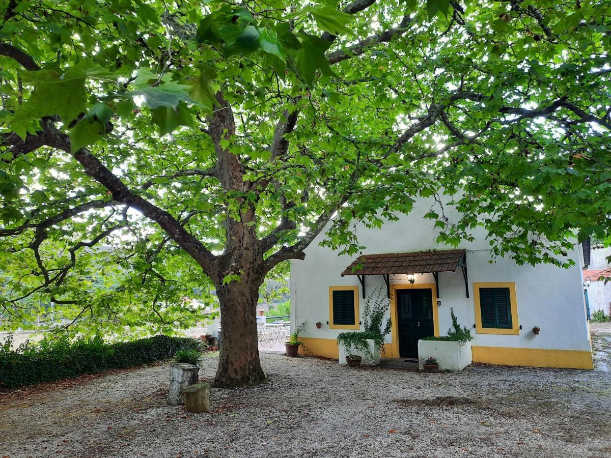 Montejunto Villas - Casa Do Platano Cadaval Εξωτερικό φωτογραφία