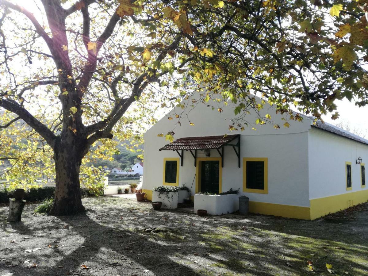 Montejunto Villas - Casa Do Platano Cadaval Εξωτερικό φωτογραφία