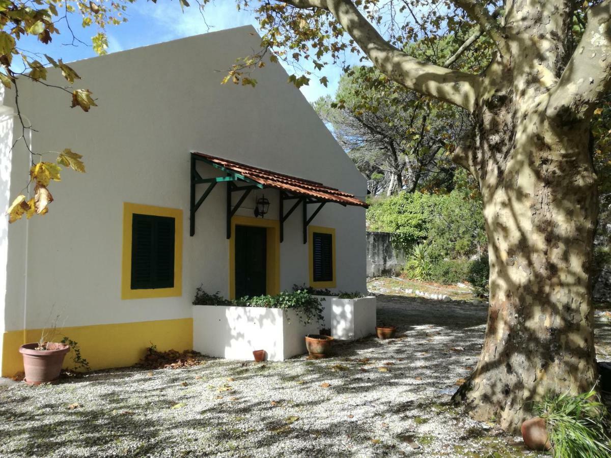 Montejunto Villas - Casa Do Platano Cadaval Εξωτερικό φωτογραφία