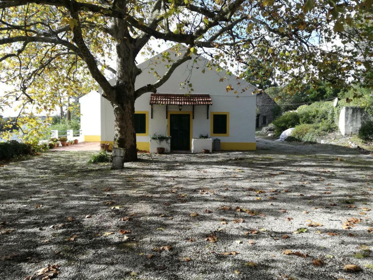 Montejunto Villas - Casa Do Platano Cadaval Εξωτερικό φωτογραφία