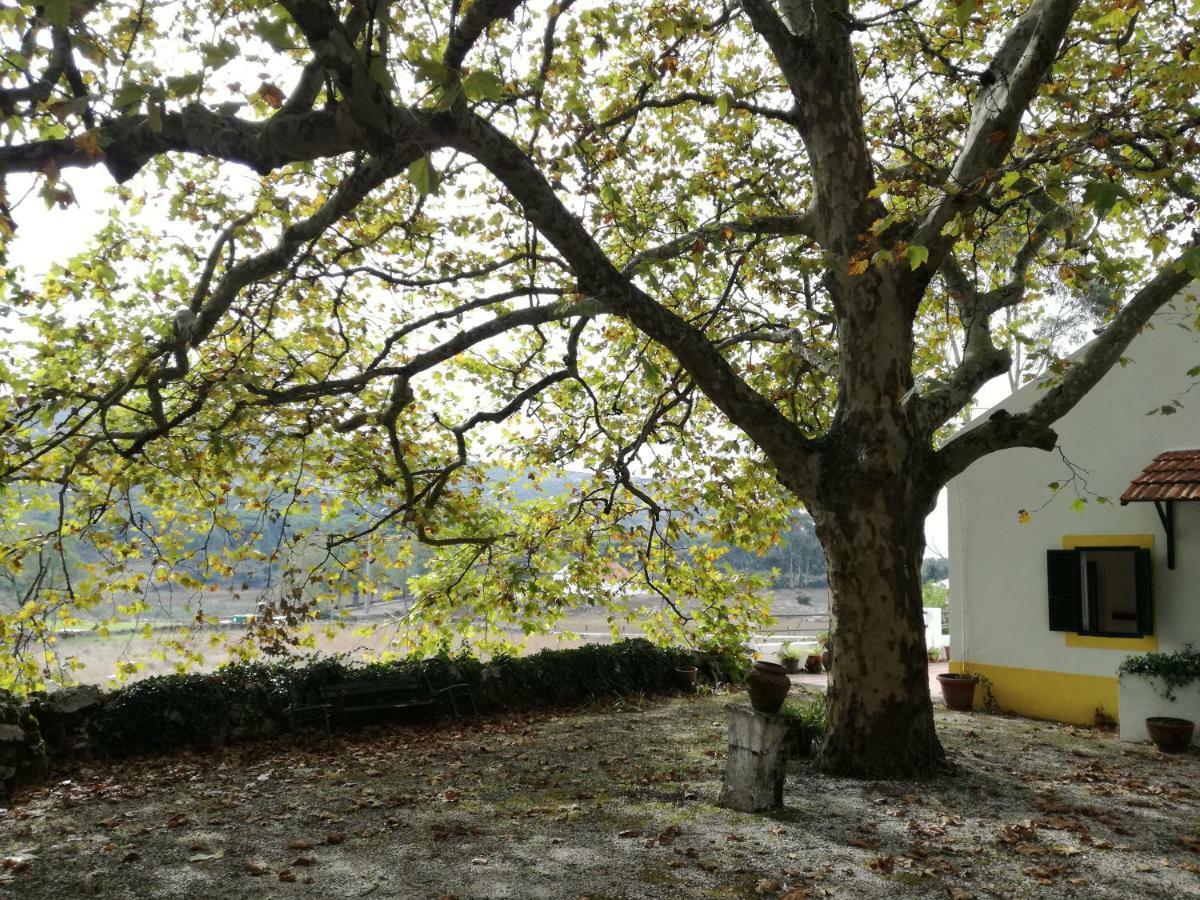 Montejunto Villas - Casa Do Platano Cadaval Εξωτερικό φωτογραφία