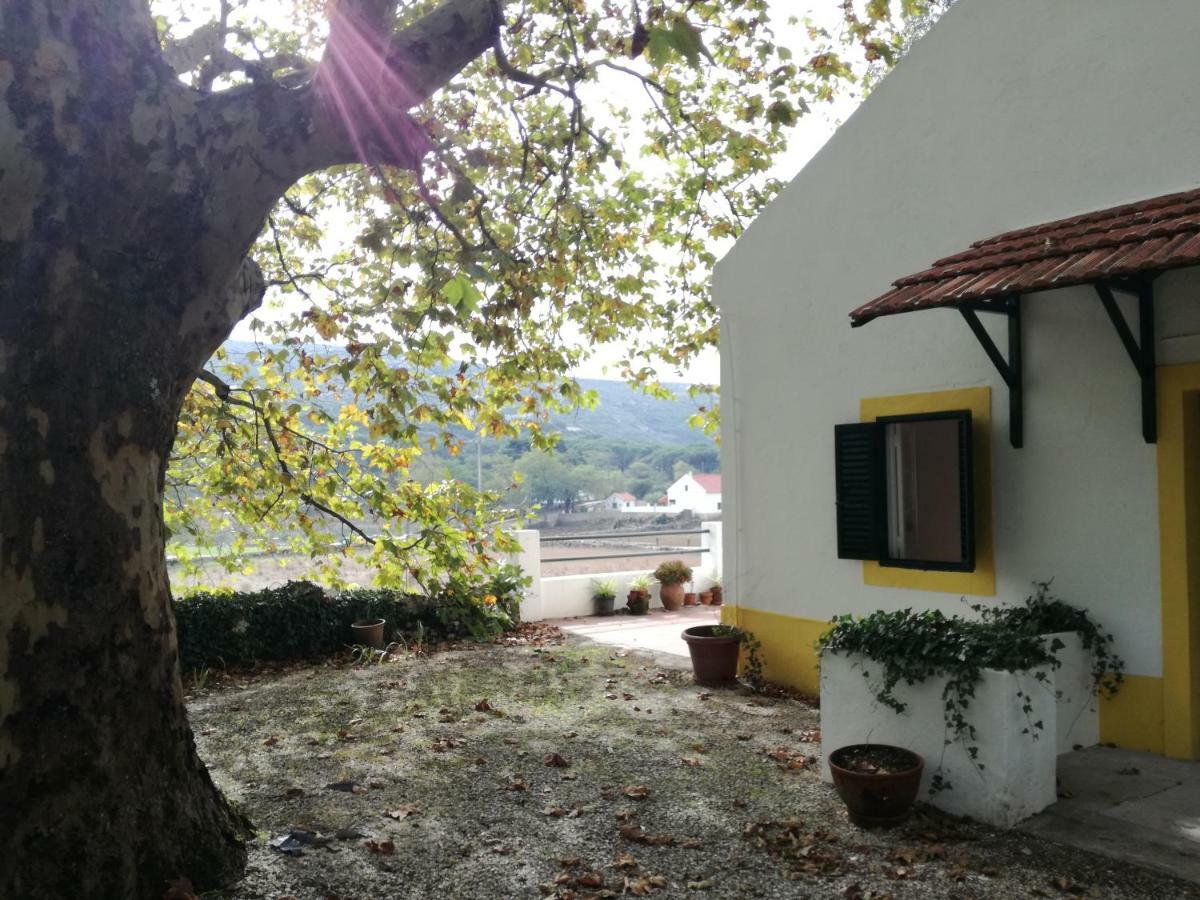 Montejunto Villas - Casa Do Platano Cadaval Εξωτερικό φωτογραφία